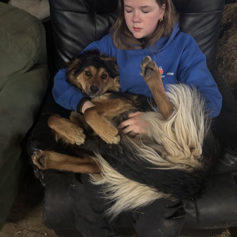 Heimasætan með heimilishundinn