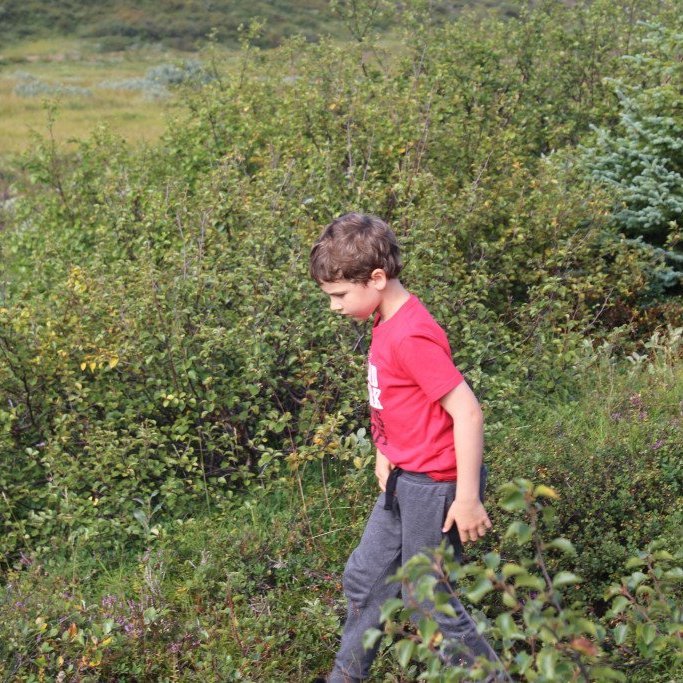 2016-08-25-13.11.03-1