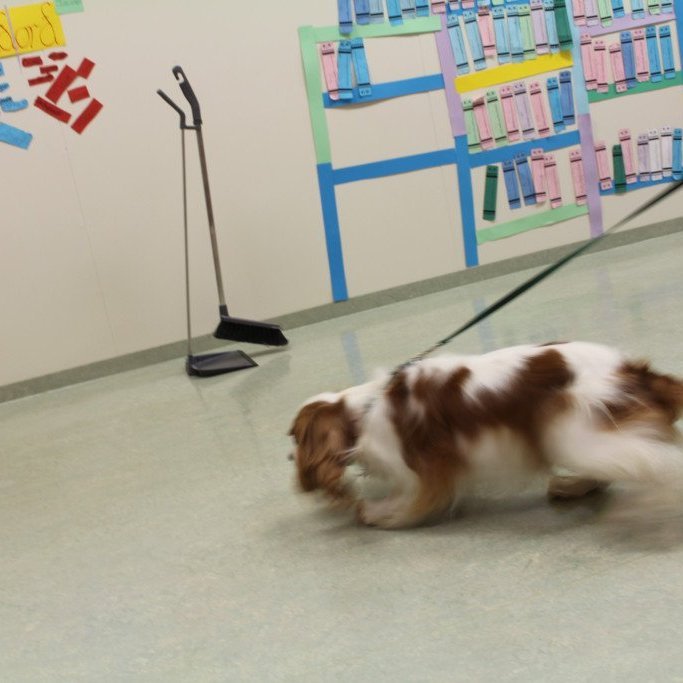 2016-10-19-08.50.29-2