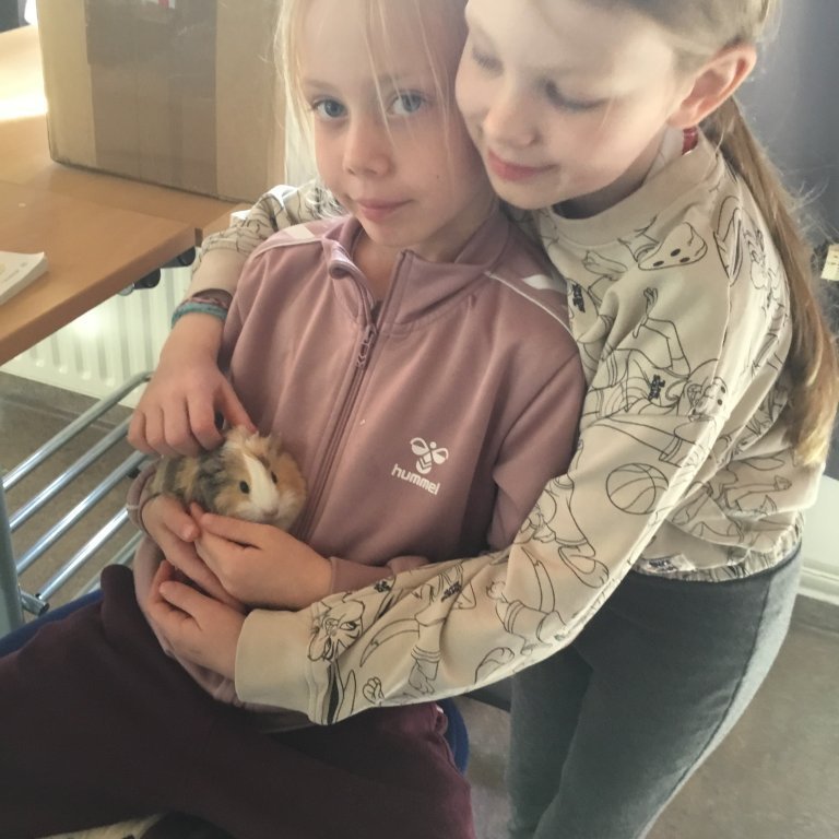 Frænkur og Drottning