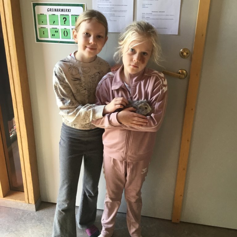 Í öruggum höndum hjá frænkunum