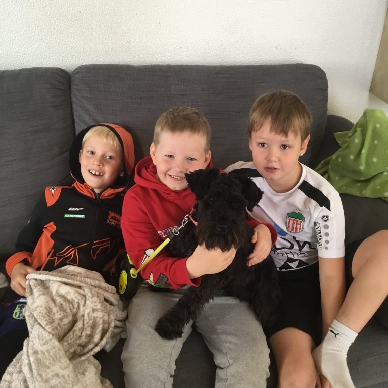 Vinátta og skemmtilegheit