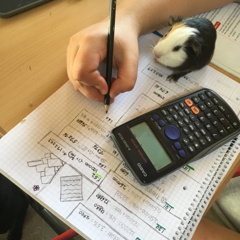 Er góð í stærðfræði. Er þetta ekki vel unnið?