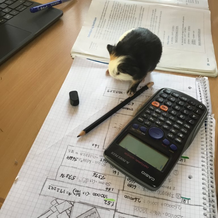 Á ég að skrifa fyrir hana?