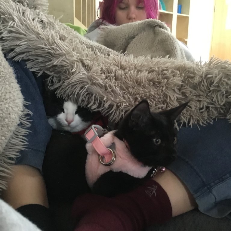 Hér er notalegt að vera