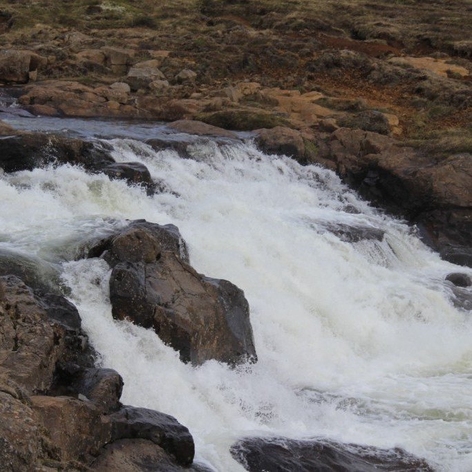 2016-05-31-10.21.10-1