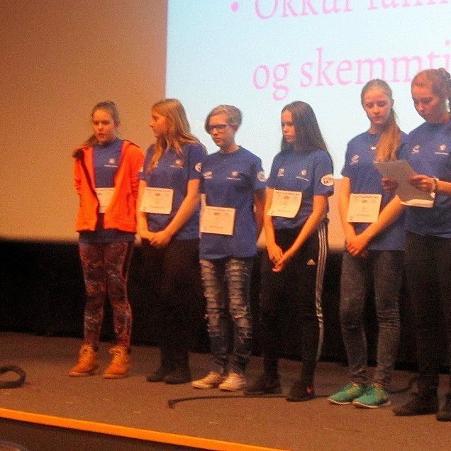 Stelpurnar kynna rannsóknarverkefnið sitt.