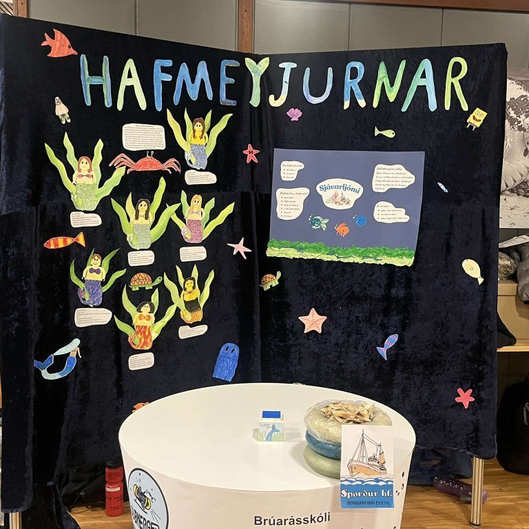 Allur bás Hafmeyjarna