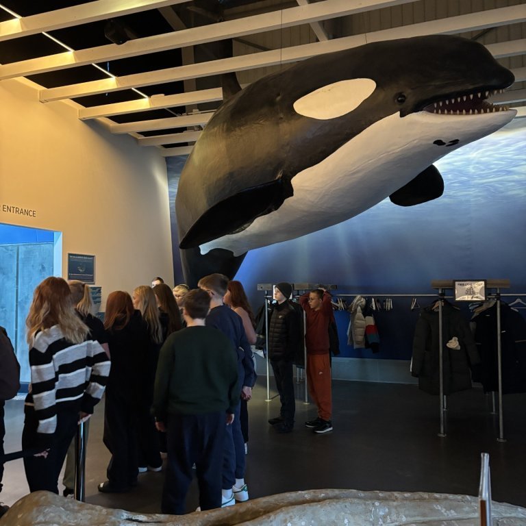 Á hvalasafninu
