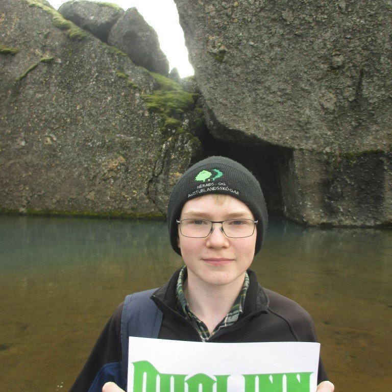 dvalinn-l-russon-sn-dal