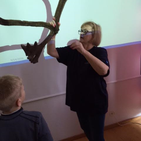 fengum-a-sj-hreind-rahorn