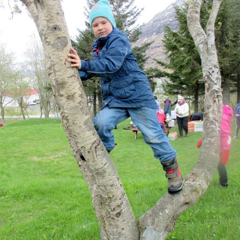 Júlíus var hress í trjánum líka.