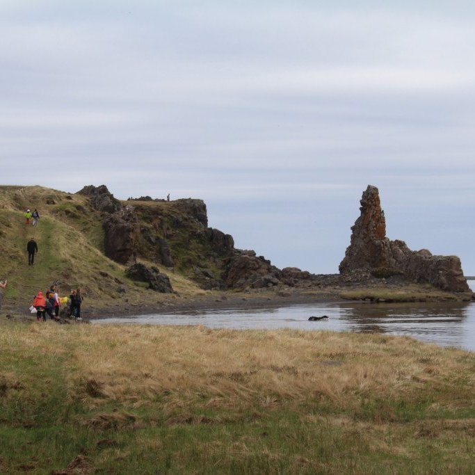 2018-05-31-10.20.38-1