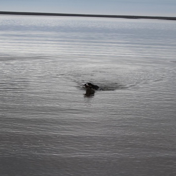 2018-05-31-10.21.50-1