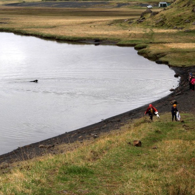 2018-05-31-10.24.17-1