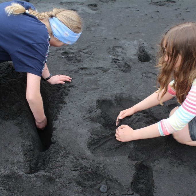 2018-05-31-11.05.47-1