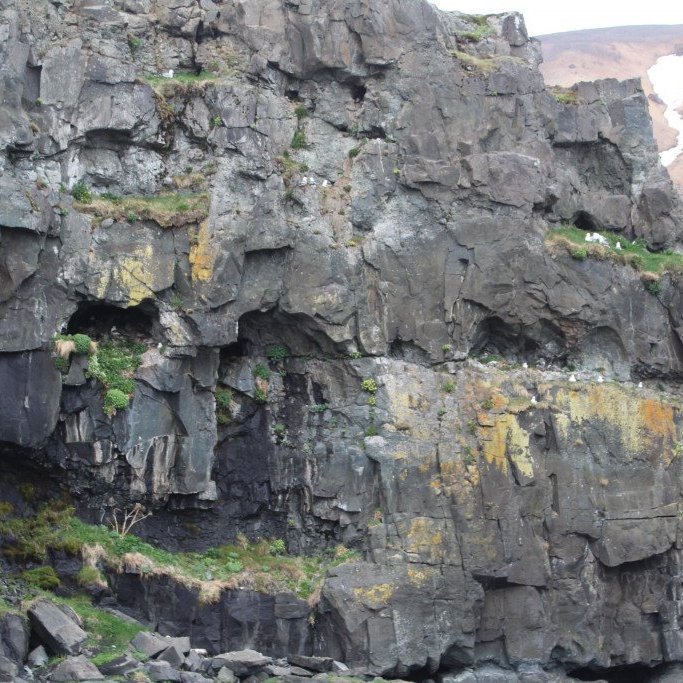 2018-05-31-11.06.40-1