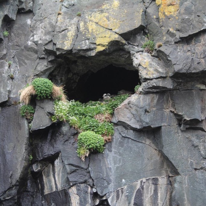 2018-05-31-11.18.32-1