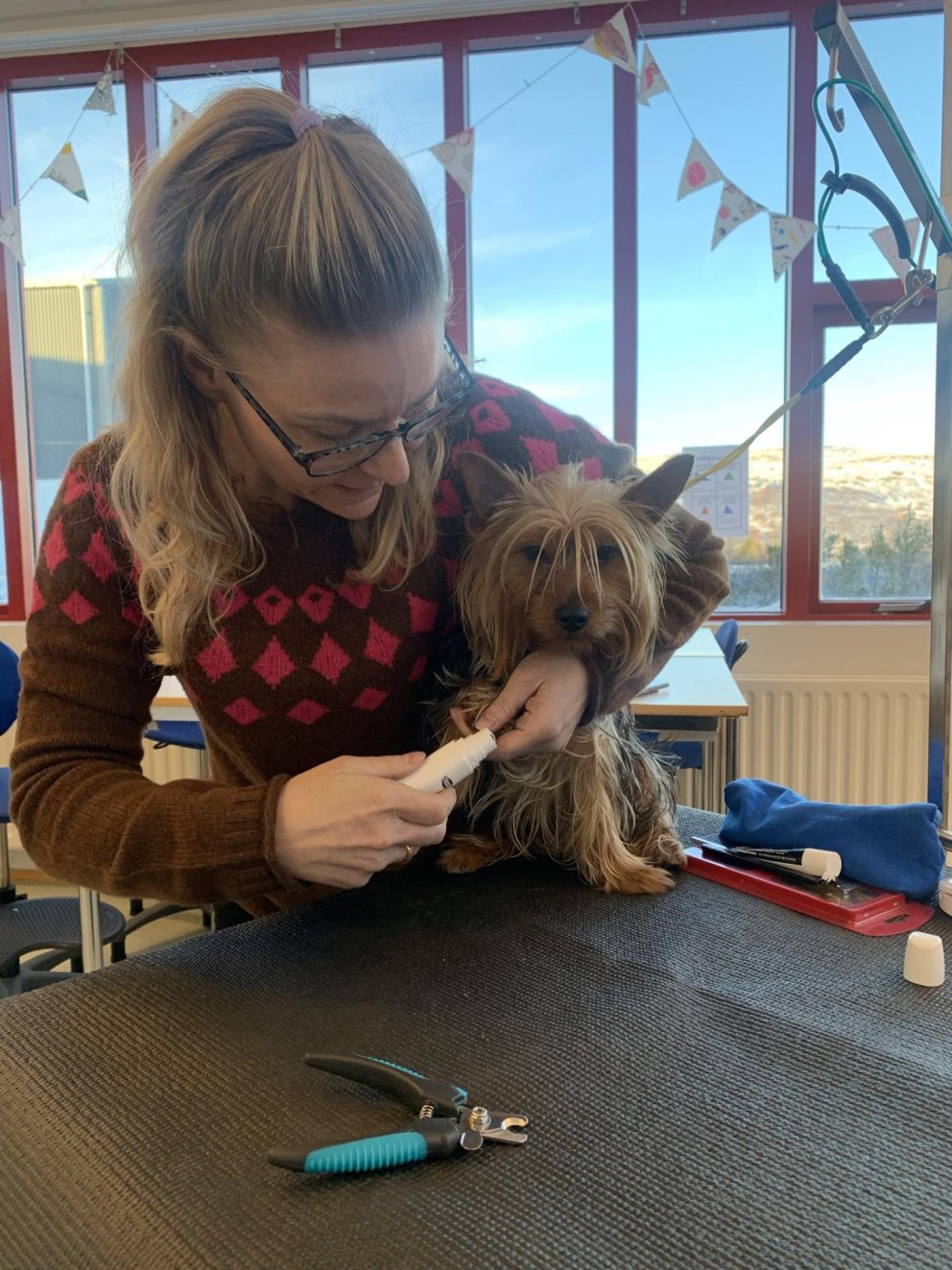 Heimsókn frá ræktanda