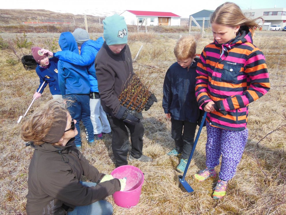 Gróðursetning, tilraunir og kofar.