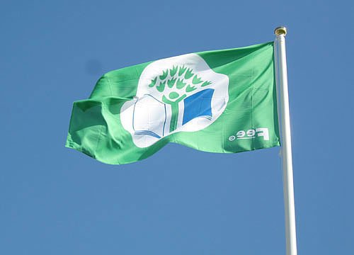Grænfánahátíð 13. febrúar