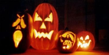 Hrekkjavaka og gæludýradagurinn