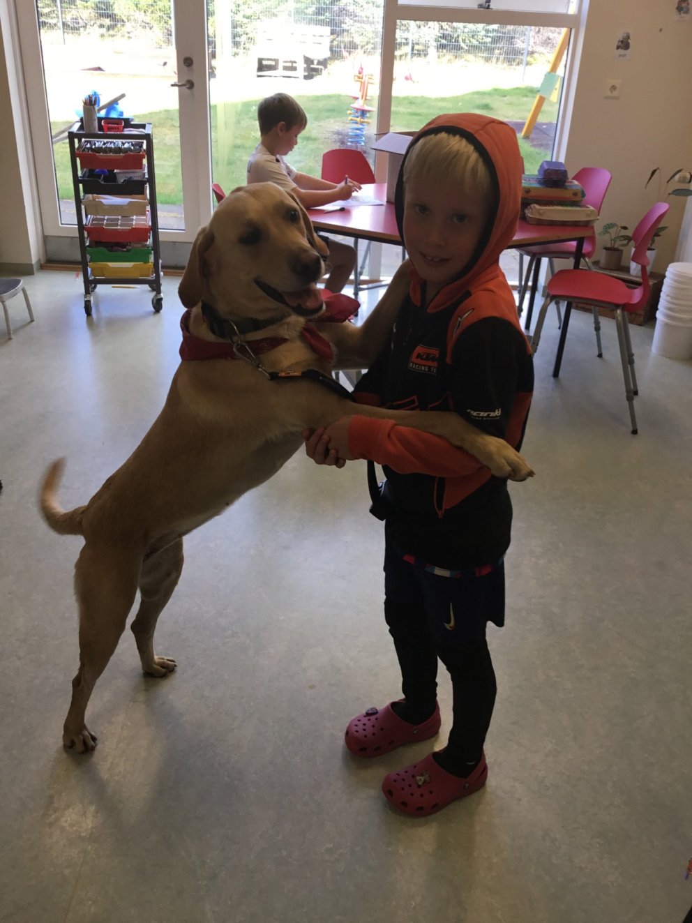 Myndir af gæludýradeginum