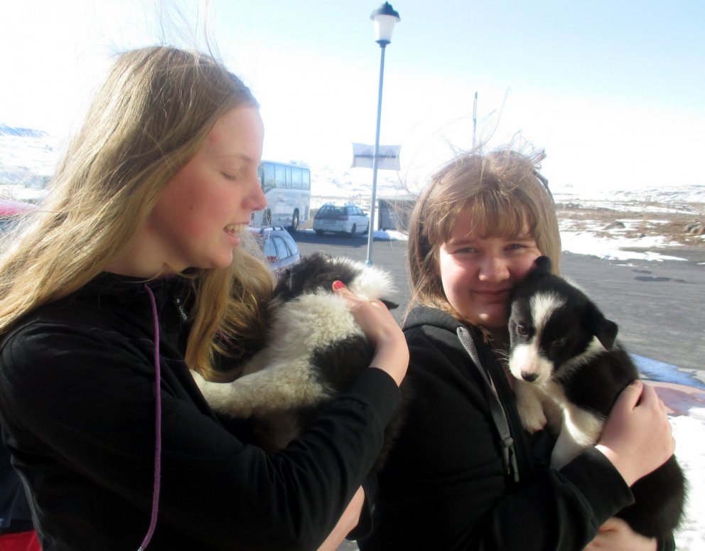 Vor í lofti og krúttbangsar í heimsókn