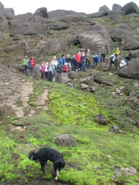 Fyrsta útikennsluvikan