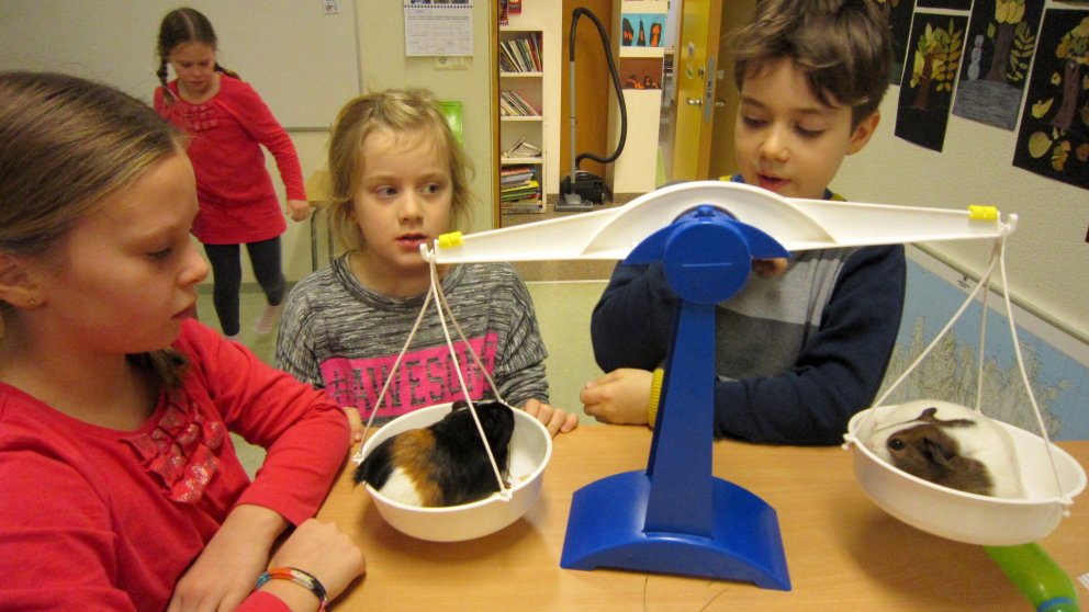 Mikil vísindi fóru fram á neðri hæðinni