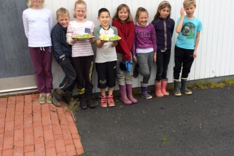 Heimilisfræði hjá 4.-5. bekk