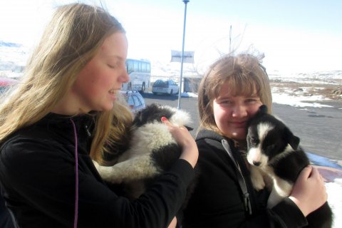 Vor í lofti og krúttbangsar í heimsókn