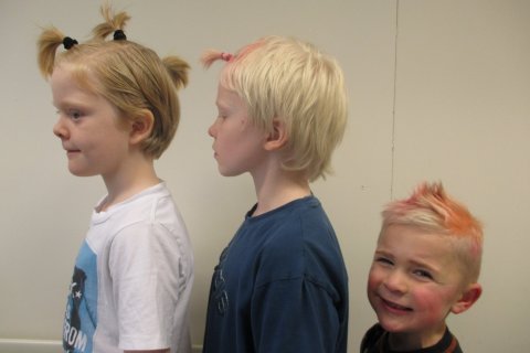 Skrýtni hárdagurinn