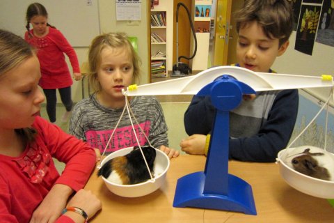 Mikil vísindi fóru fram á neðri hæðinni