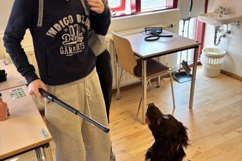 Lögregluhundurinn Skari mætti í kennslustund í dýravali